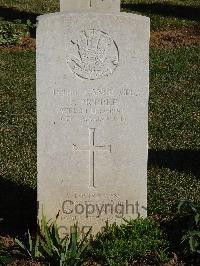 Salonika (Lembet Road) Military Cemetery - Priddle, Tom